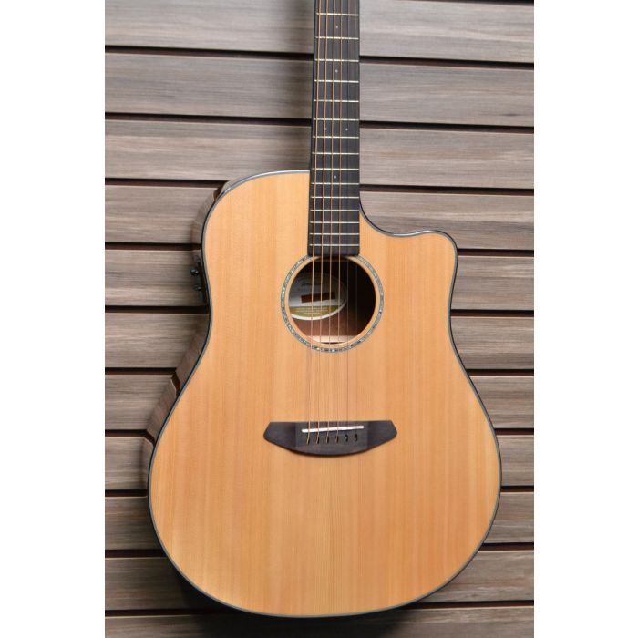 Breedlove pursuit discount dreadnought