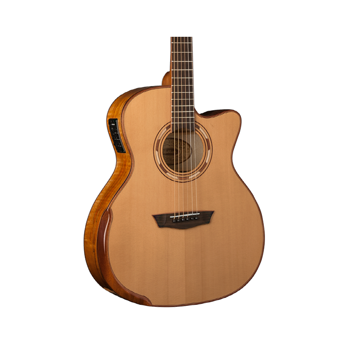 Washburn g66sce store