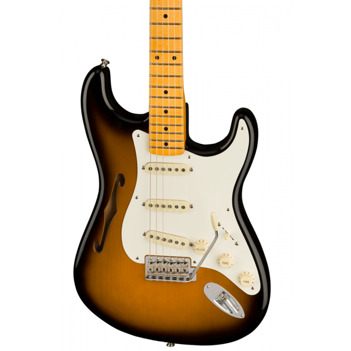 通販専売Fender Eric Johnson Thinline Signature エリックジョンソン シグネチャー 未使用新品 フェンダー