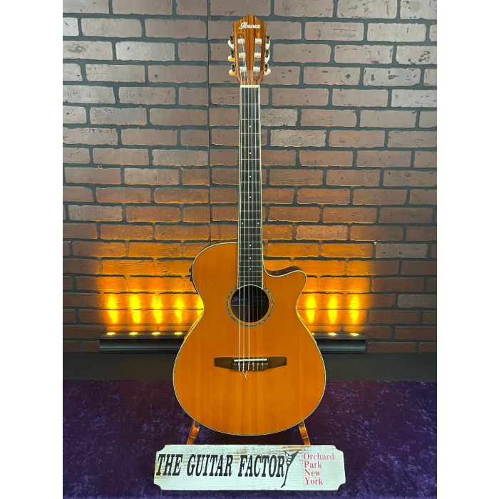 Ibanez aeg nylon store