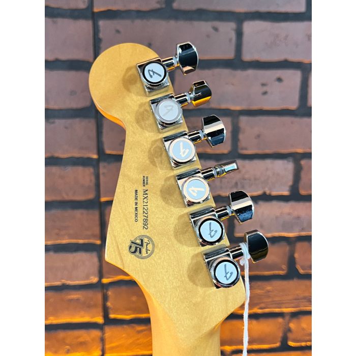 TGF Store Exclusive) Mod Series - Fender Player Plus Stratocaster 