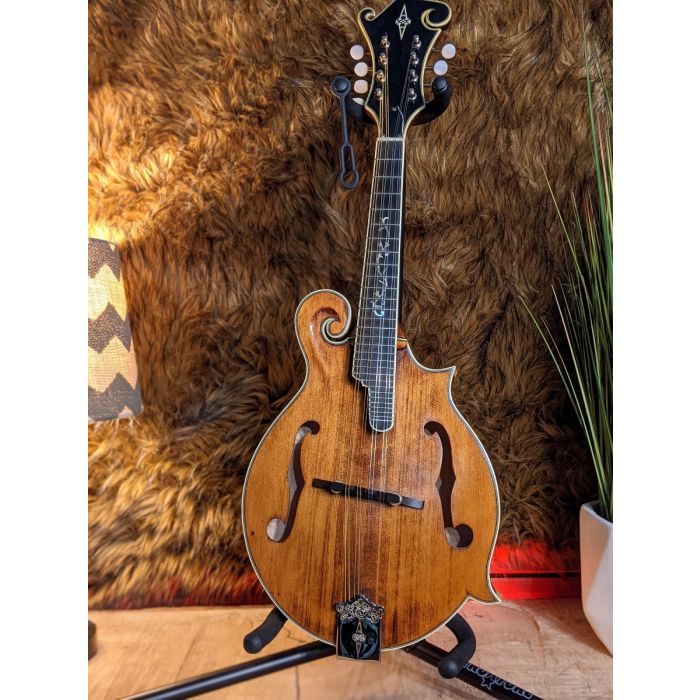Mandolin hotsell kits grizzly