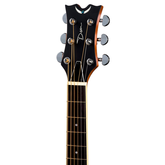 Dean shop resonator cutaway